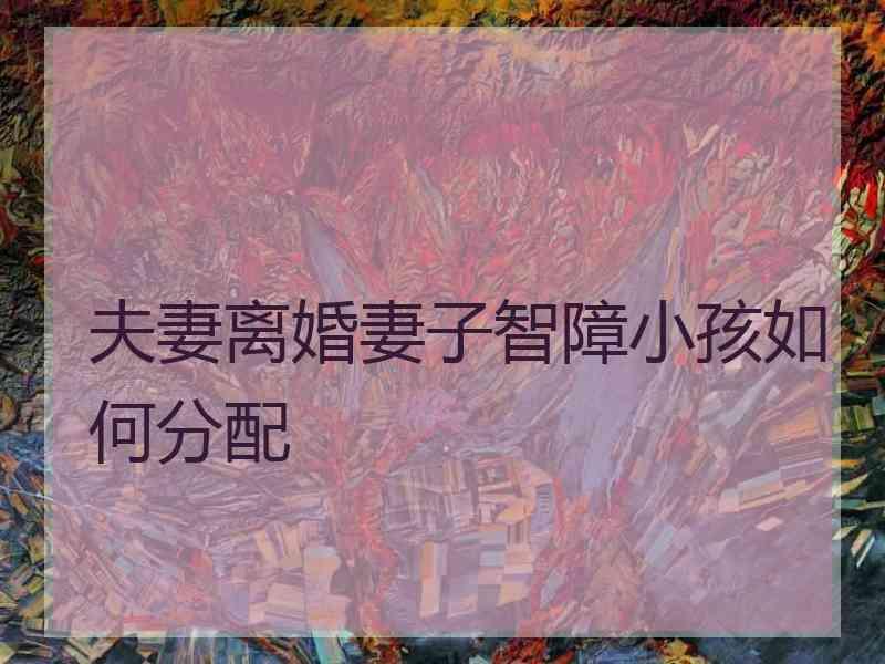 夫妻离婚妻子智障小孩如何分配