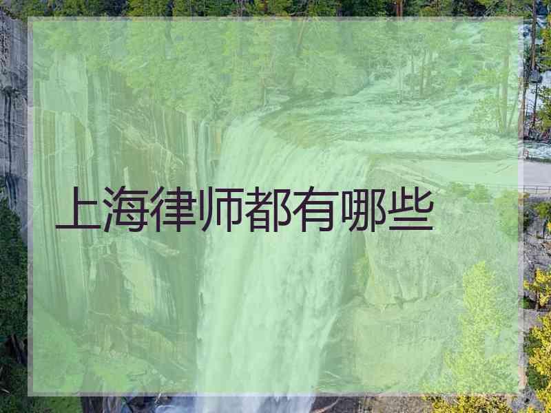 上海律师都有哪些