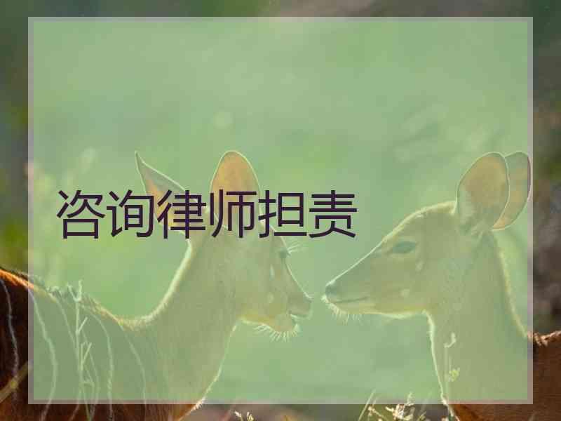 咨询律师担责