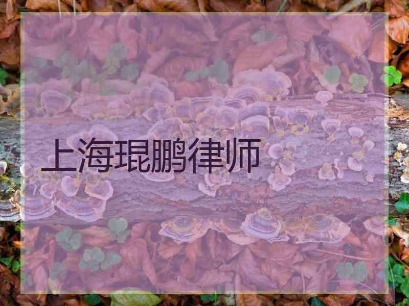 上海琨鹏律师