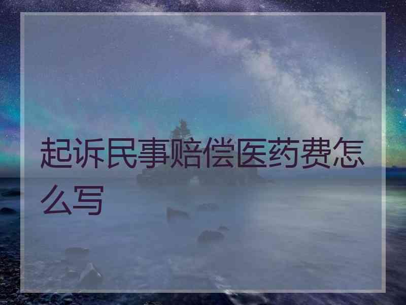 起诉民事赔偿医药费怎么写