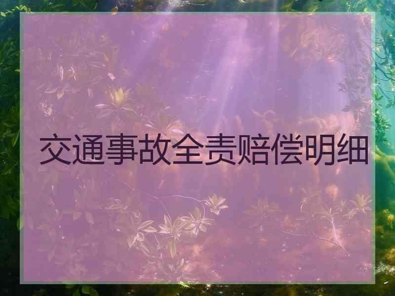 交通事故全责赔偿明细