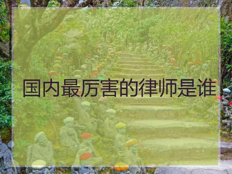 国内最厉害的律师是谁