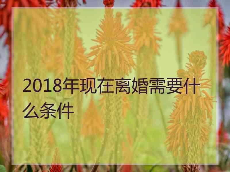 2018年现在离婚需要什么条件