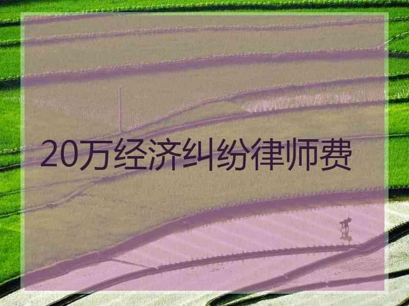 20万经济纠纷律师费