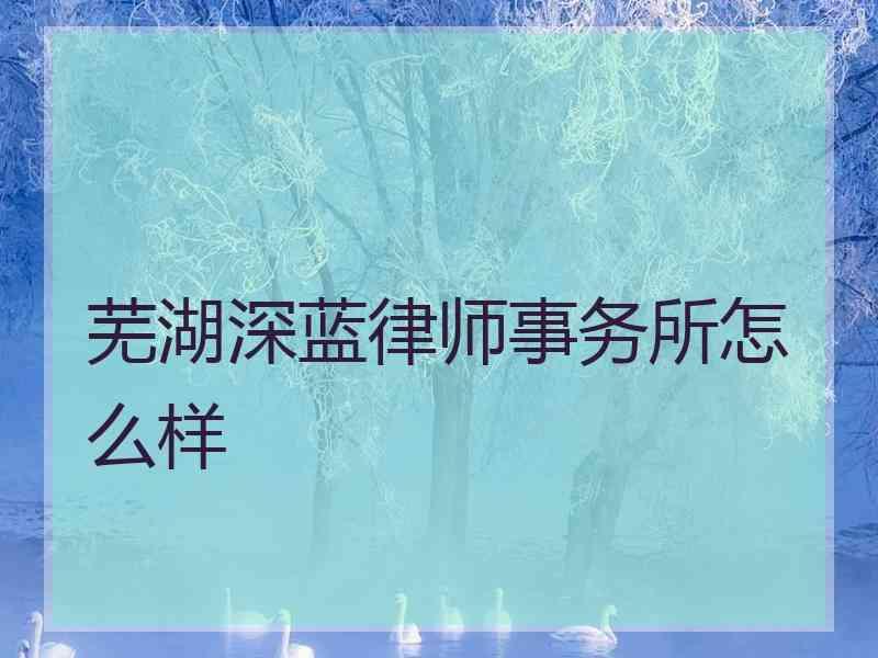 芜湖深蓝律师事务所怎么样