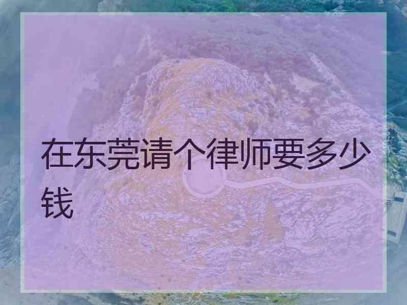 在东莞请个律师要多少钱