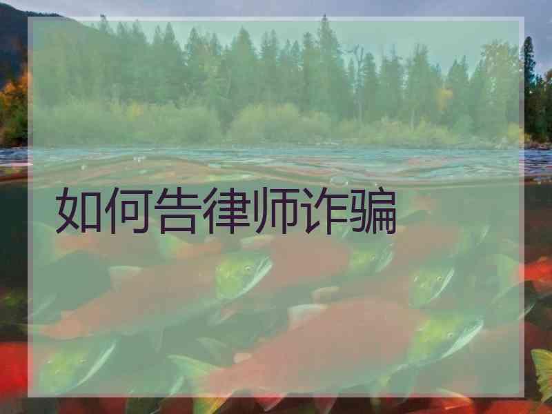 如何告律师诈骗