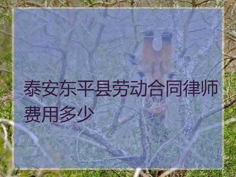 泰安东平县劳动合同律师费用多少