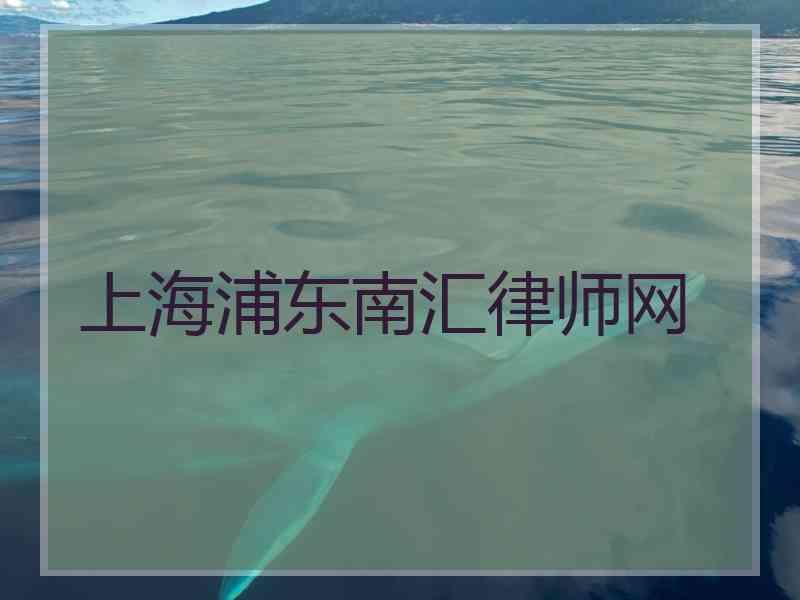 上海浦东南汇律师网