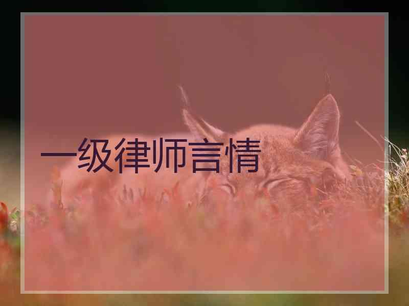 一级律师言情