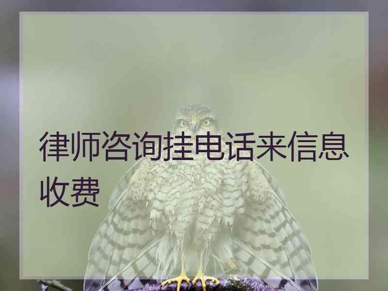 律师咨询挂电话来信息收费