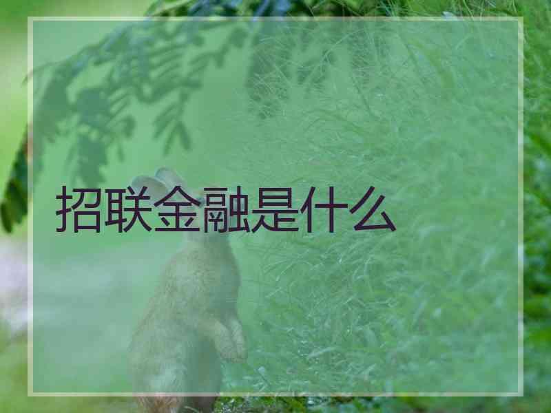 招联金融是什么