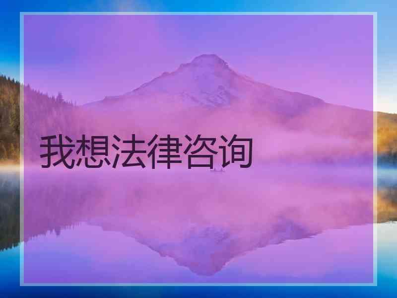 我想法律咨询
