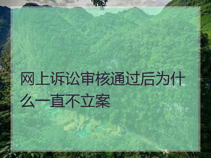 网上诉讼审核通过后为什么一直不立案