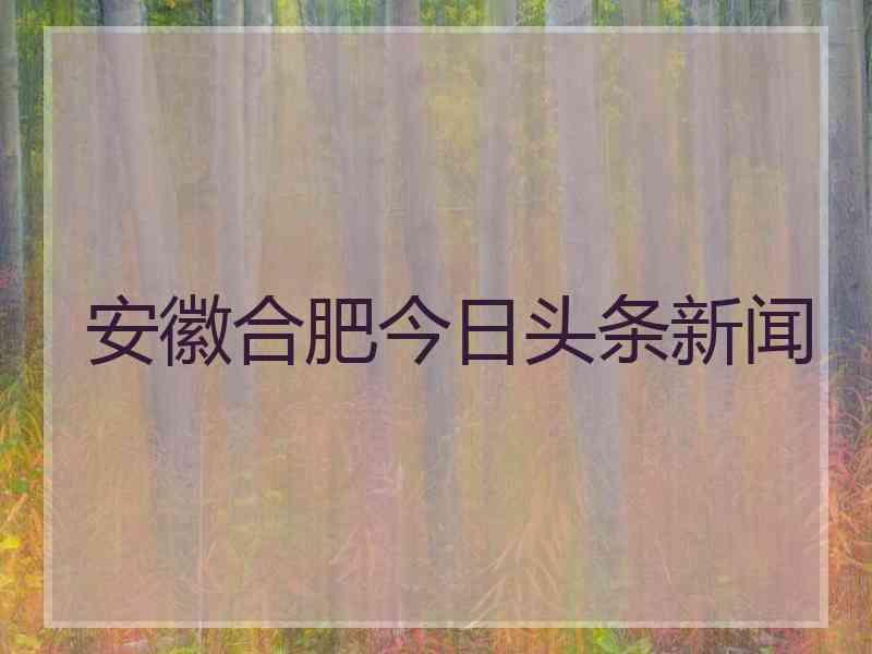 安徽合肥今日头条新闻