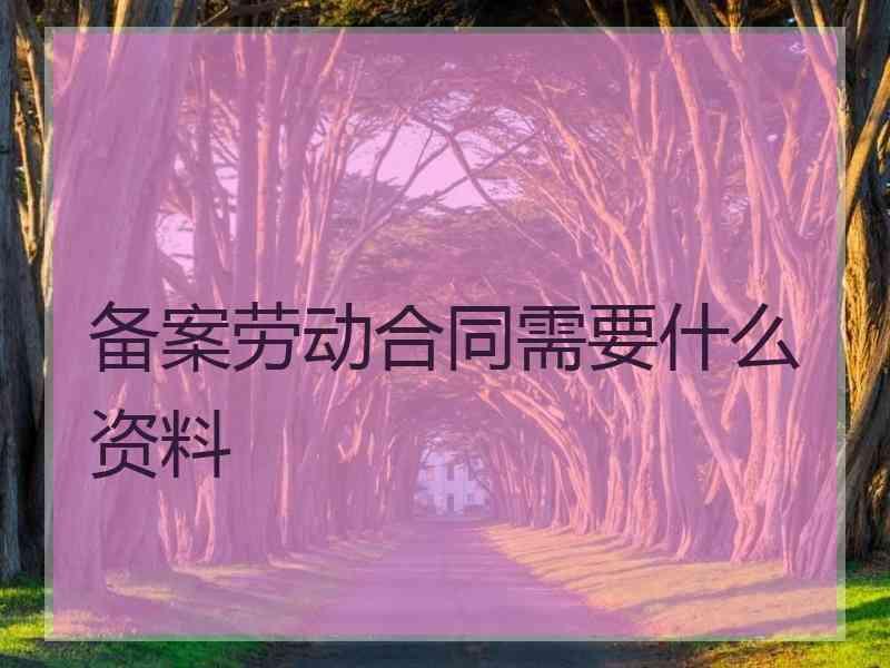 备案劳动合同需要什么资料