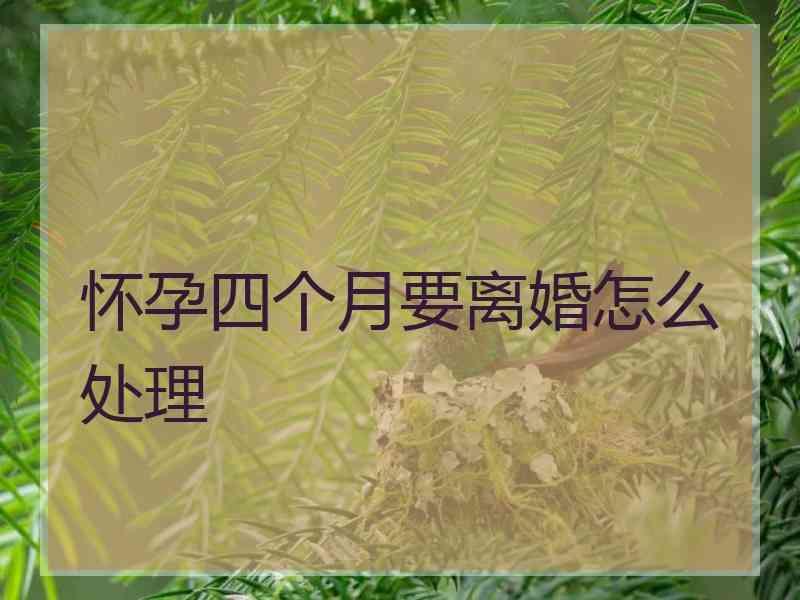 怀孕四个月要离婚怎么处理