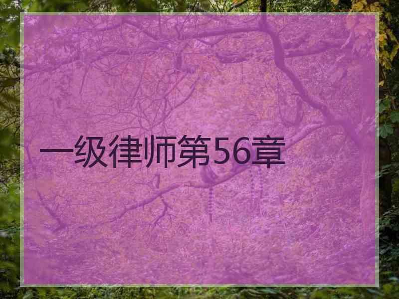 一级律师第56章