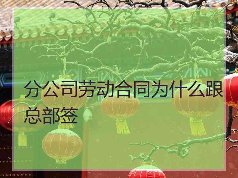 分公司劳动合同为什么跟总部签