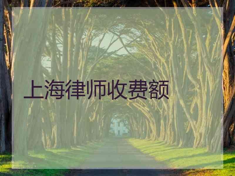 上海律师收费额