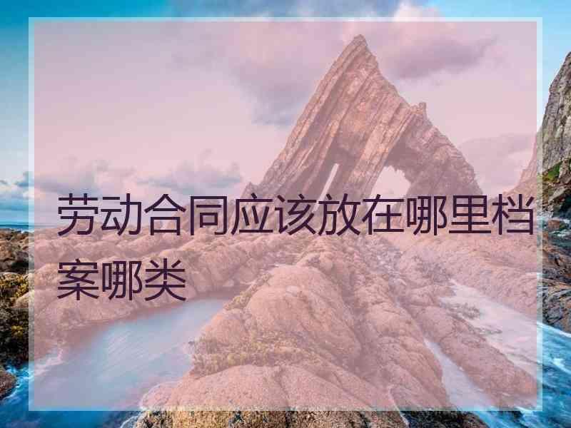 劳动合同应该放在哪里档案哪类