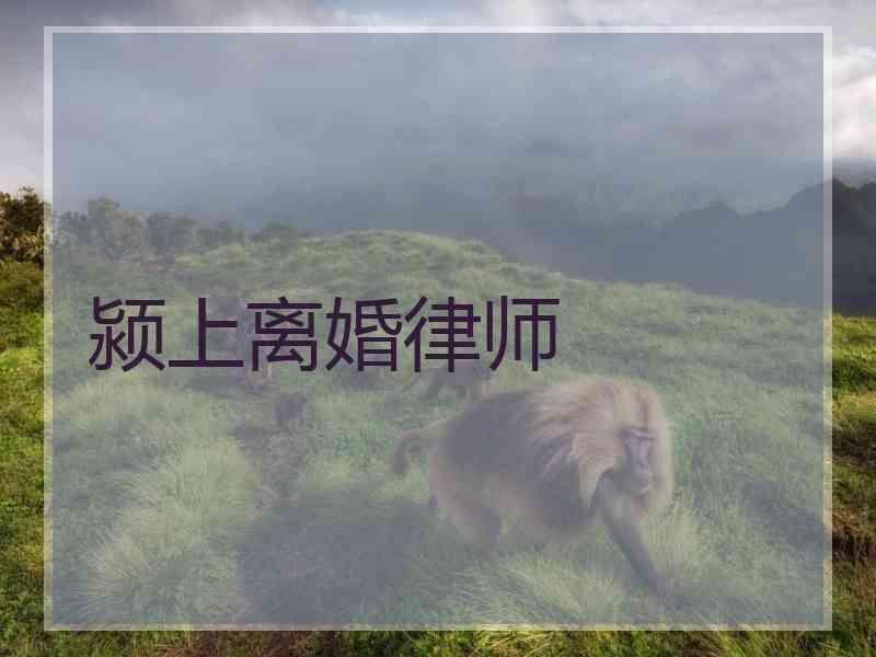 颍上离婚律师