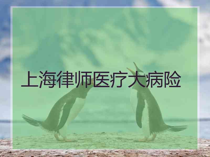 上海律师医疗大病险