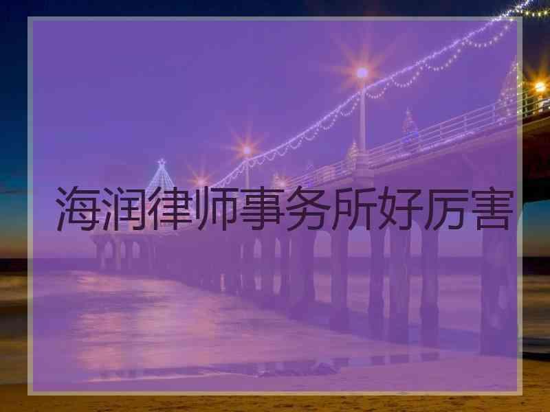 海润律师事务所好厉害