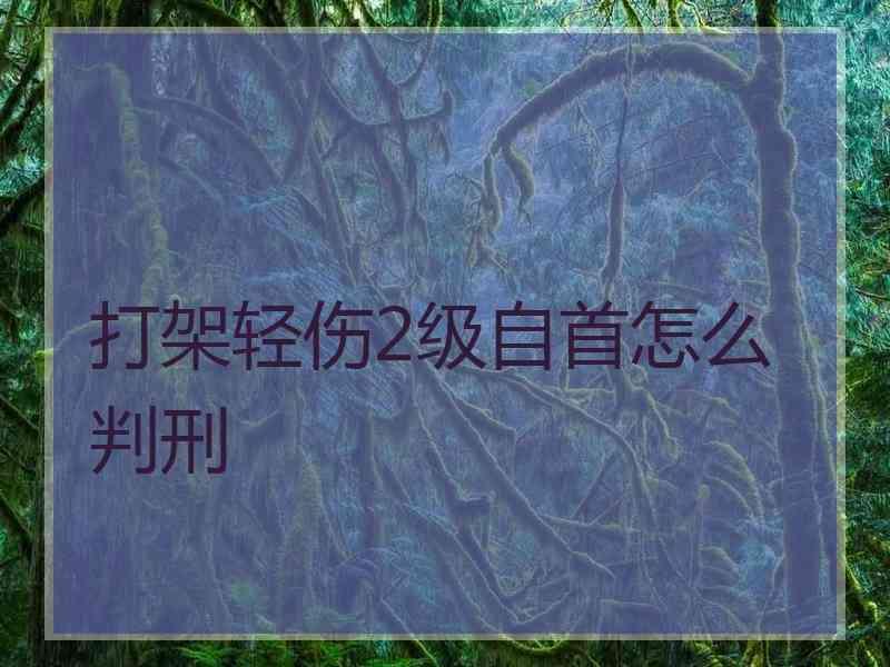 打架轻伤2级自首怎么判刑