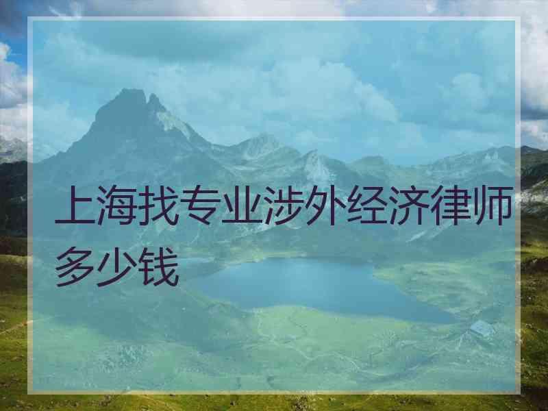 上海找专业涉外经济律师多少钱