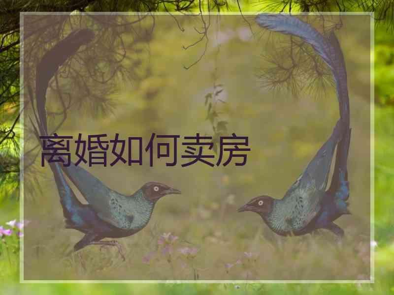离婚如何卖房