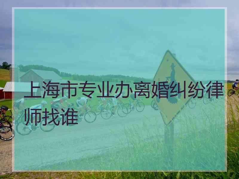 上海市专业办离婚纠纷律师找谁