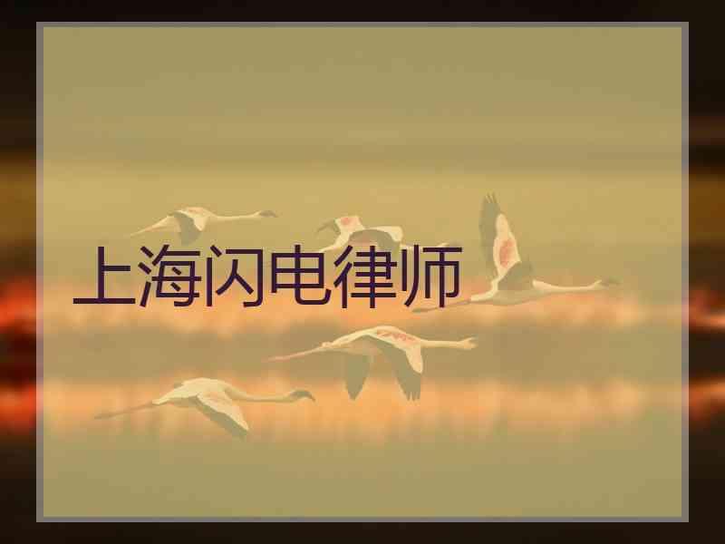 上海闪电律师