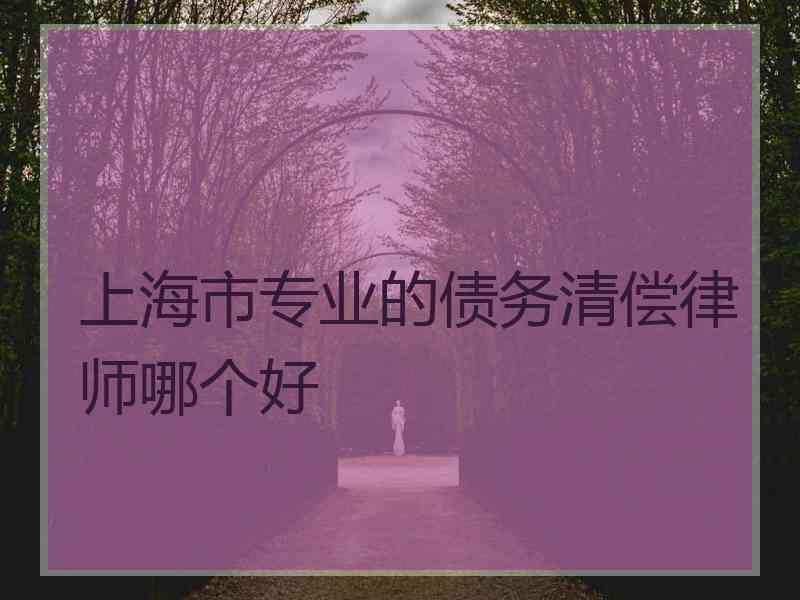 上海市专业的债务清偿律师哪个好