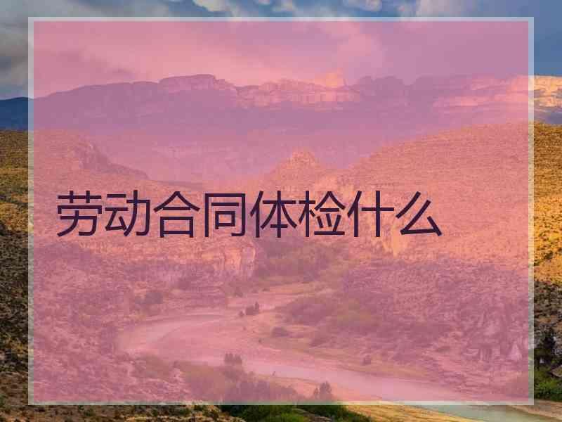 劳动合同体检什么