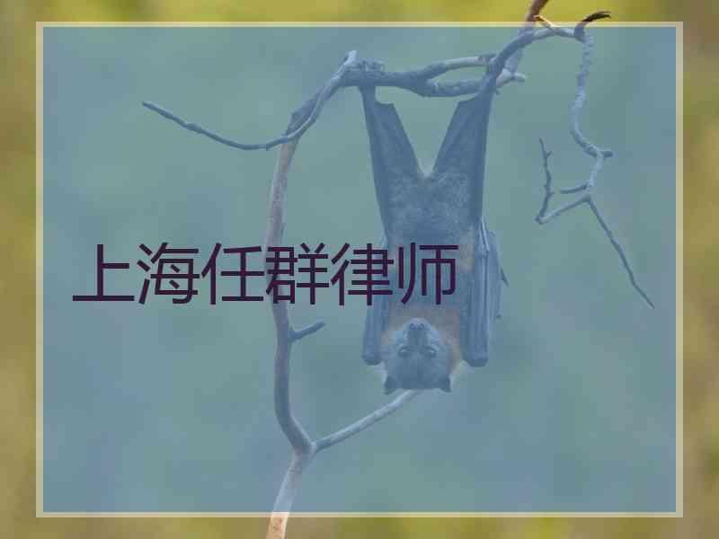 上海任群律师