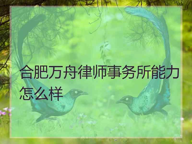 合肥万舟律师事务所能力怎么样