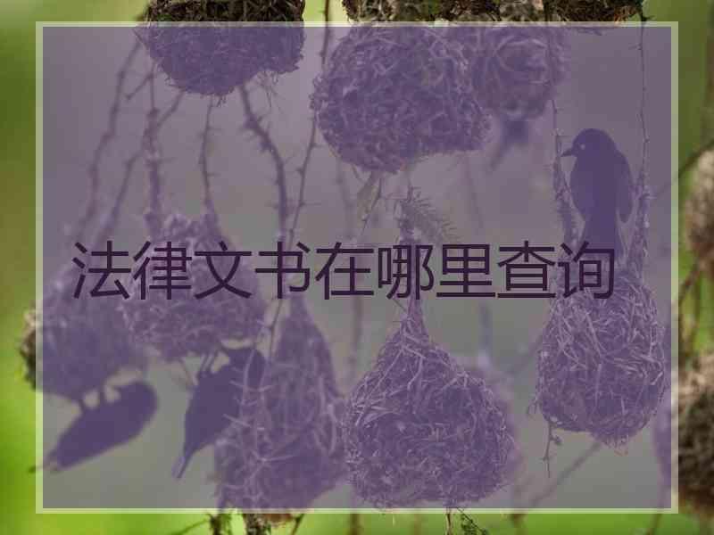 法律文书在哪里查询