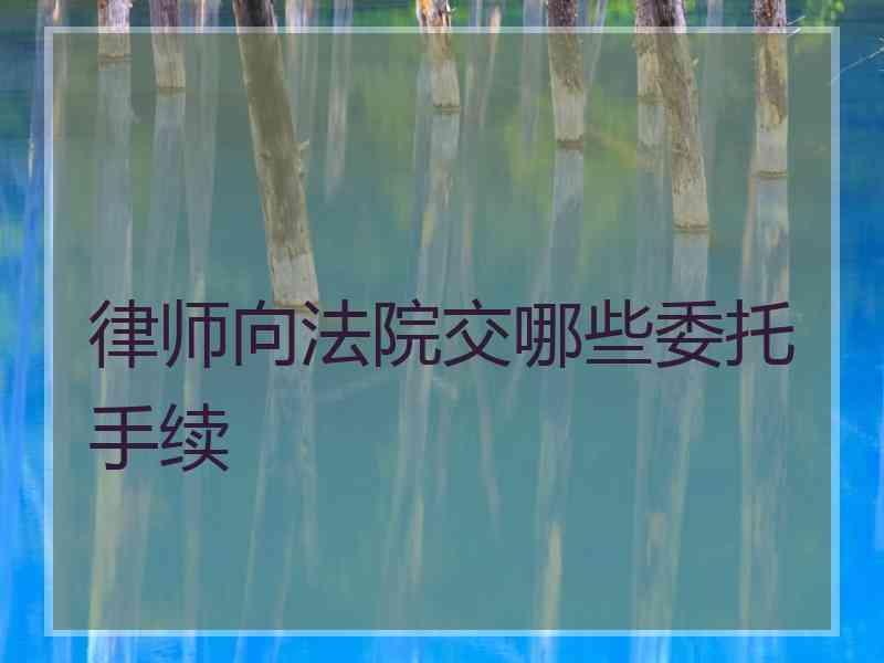 律师向法院交哪些委托手续