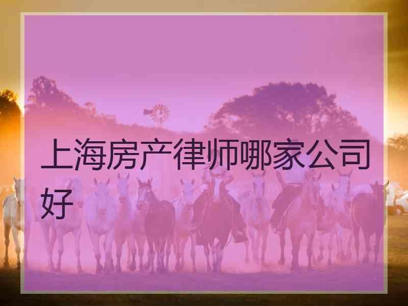 上海房产律师哪家公司好