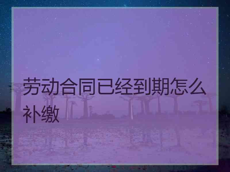 劳动合同已经到期怎么补缴