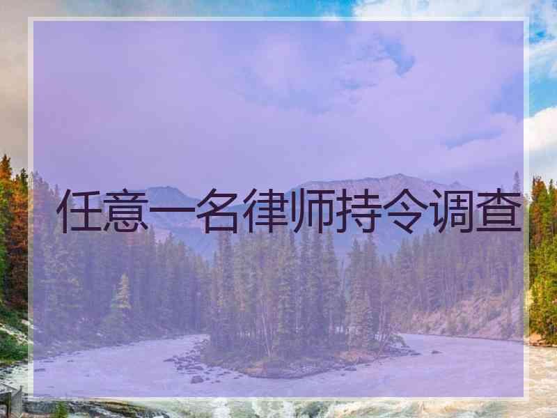 任意一名律师持令调查