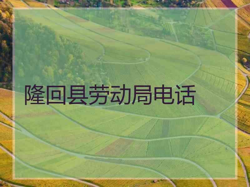 隆回县劳动局电话