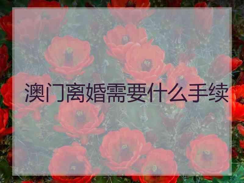 澳门离婚需要什么手续