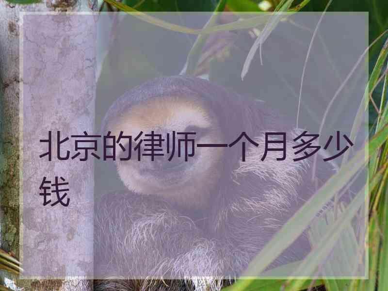 北京的律师一个月多少钱