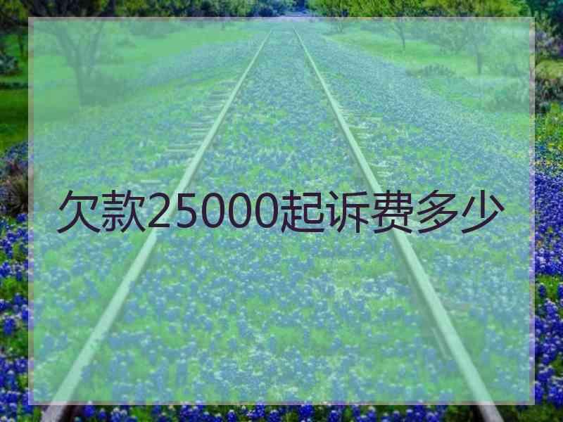 欠款25000起诉费多少