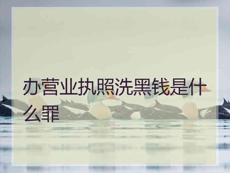 办营业执照洗黑钱是什么罪