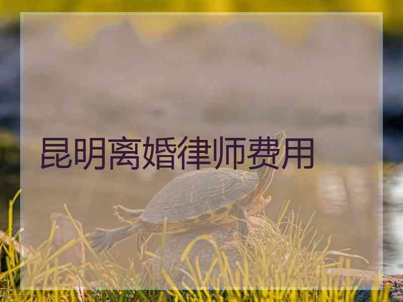 昆明离婚律师费用