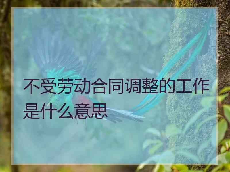 不受劳动合同调整的工作是什么意思